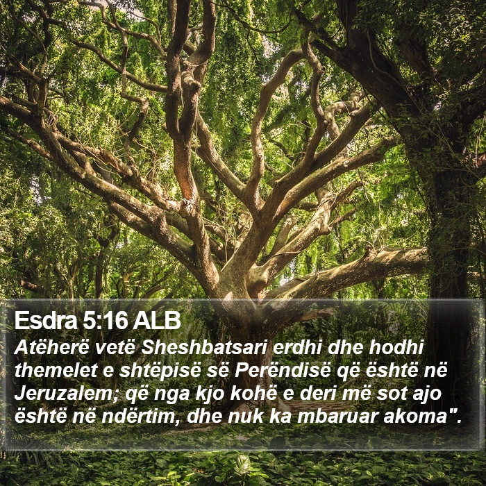 Esdra 5:16 ALB Bible Study