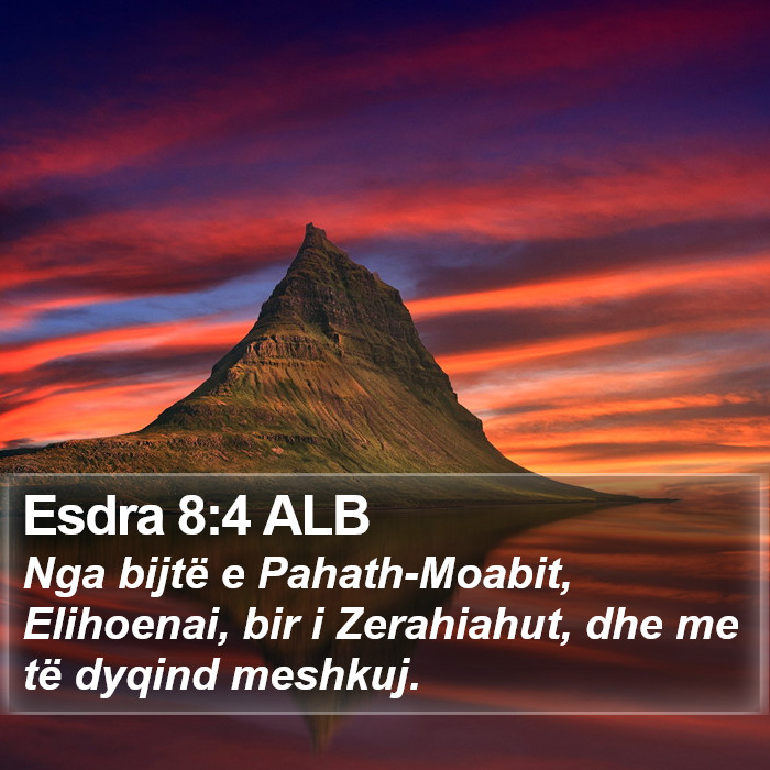 Esdra 8:4 ALB Bible Study