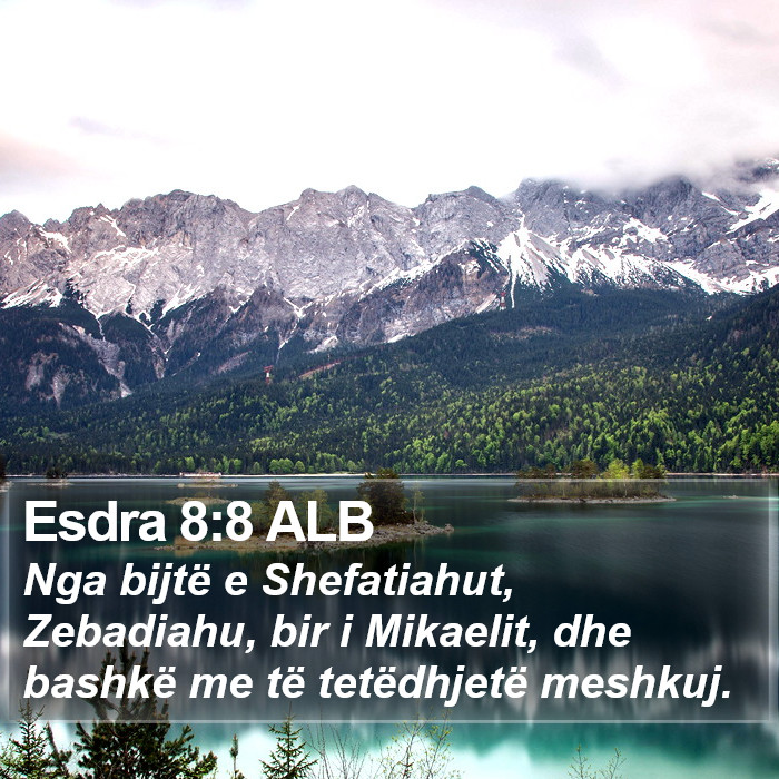 Esdra 8:8 ALB Bible Study