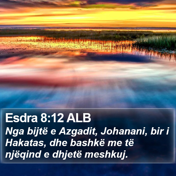 Esdra 8:12 ALB Bible Study