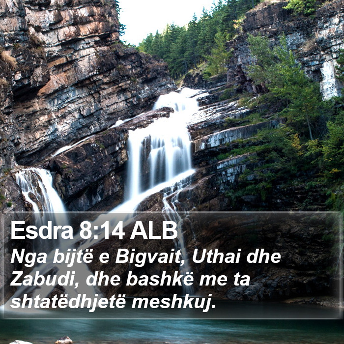 Esdra 8:14 ALB Bible Study