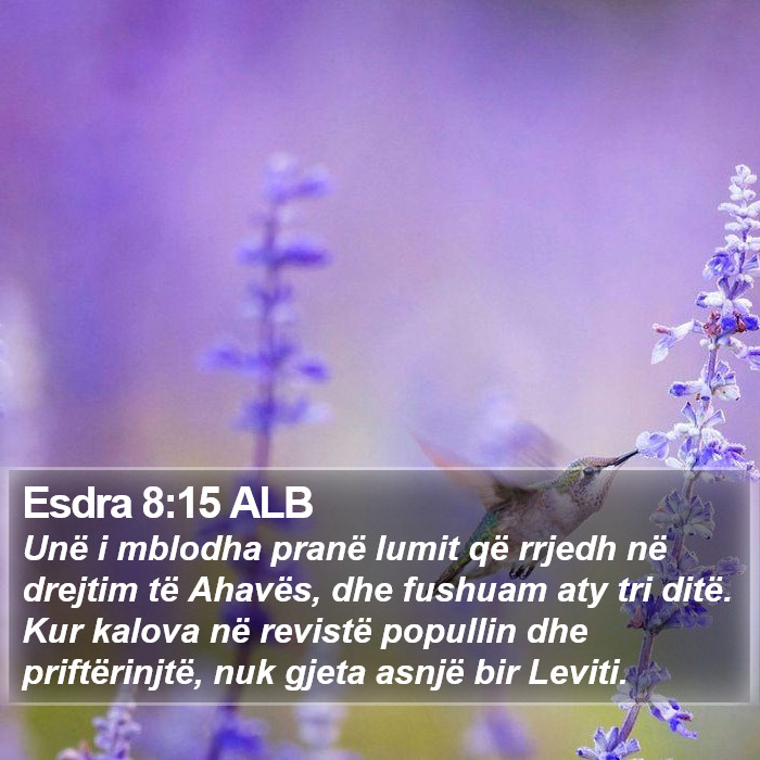 Esdra 8:15 ALB Bible Study