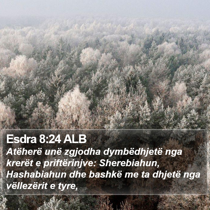 Esdra 8:24 ALB Bible Study