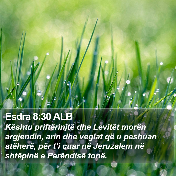 Esdra 8:30 ALB Bible Study