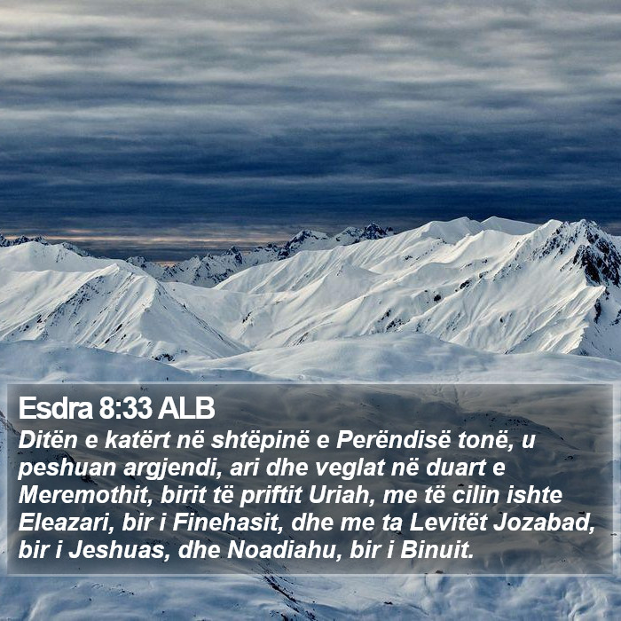 Esdra 8:33 ALB Bible Study