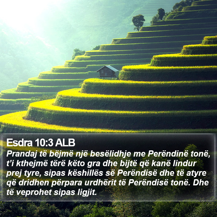 Esdra 10:3 ALB Bible Study