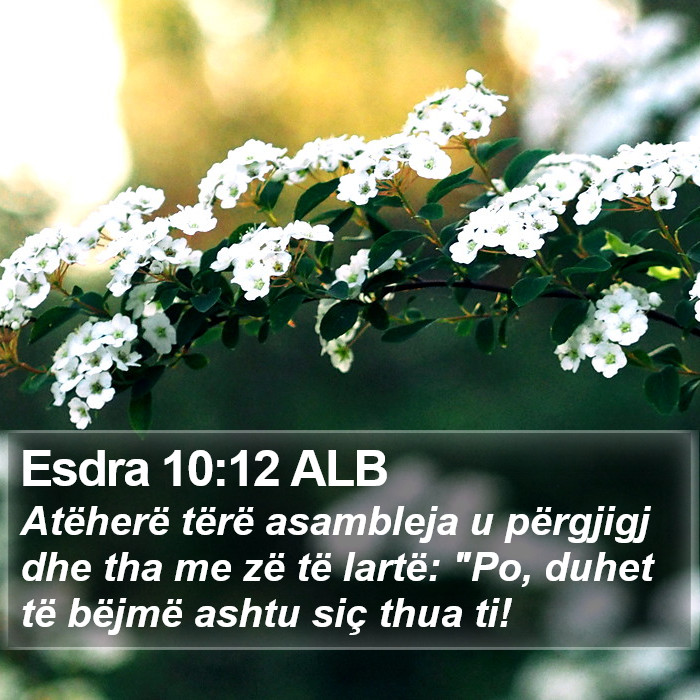 Esdra 10:12 ALB Bible Study