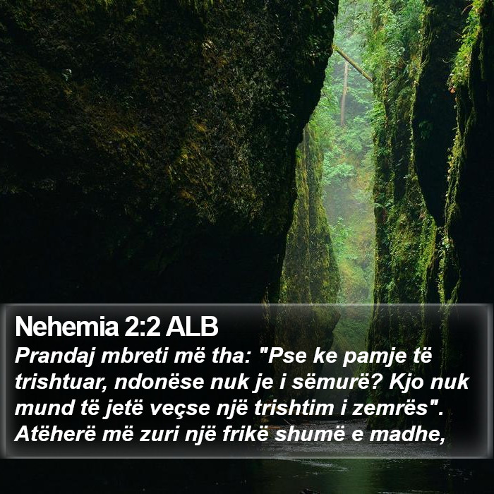 Nehemia 2:2 ALB Bible Study