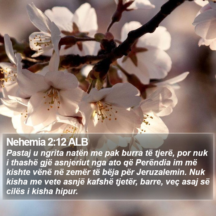 Nehemia 2:12 ALB Bible Study