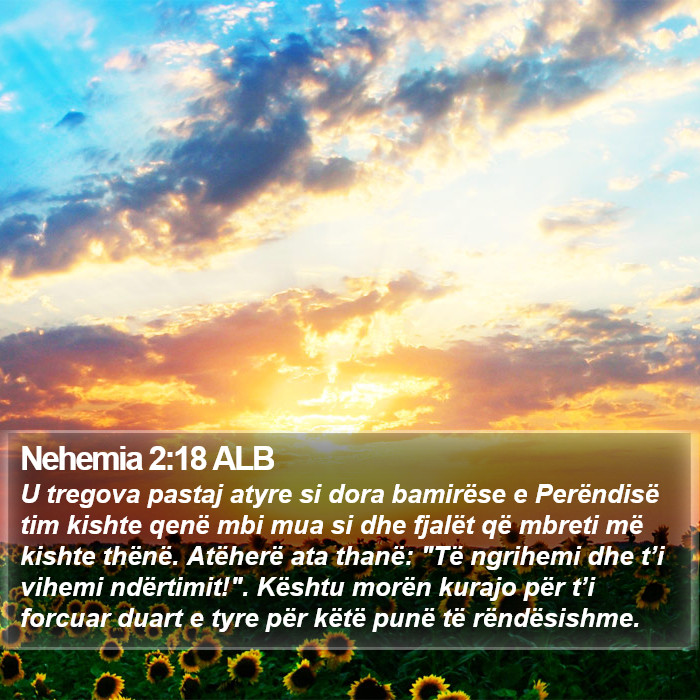 Nehemia 2:18 ALB Bible Study