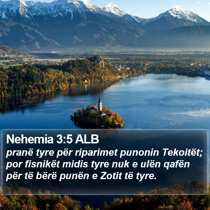 Nehemia 3:5 ALB Bible Study