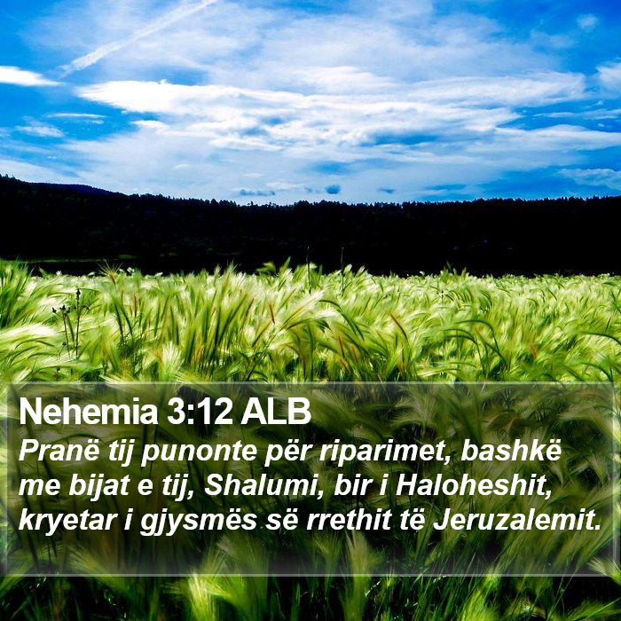 Nehemia 3:12 ALB Bible Study
