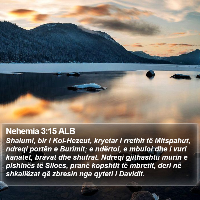 Nehemia 3:15 ALB Bible Study