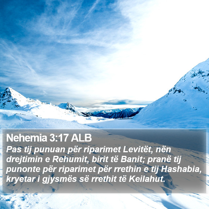 Nehemia 3:17 ALB Bible Study