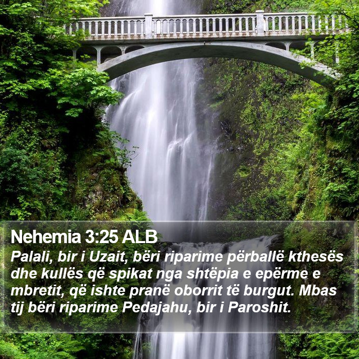 Nehemia 3:25 ALB Bible Study