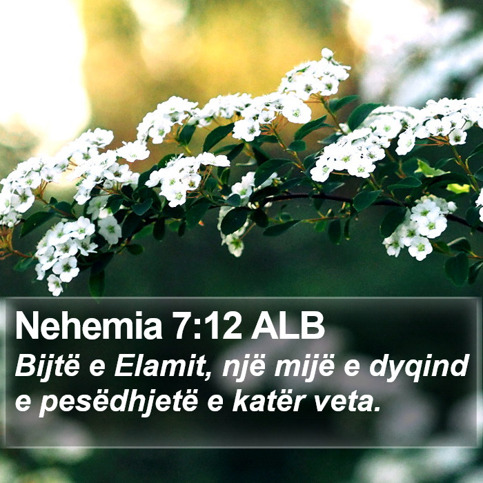 Nehemia 7:12 ALB Bible Study