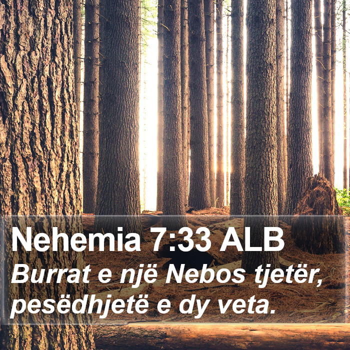 Nehemia 7:33 ALB Bible Study