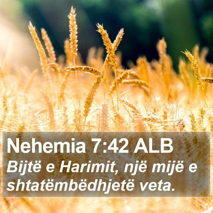 Nehemia 7:42 ALB Bible Study