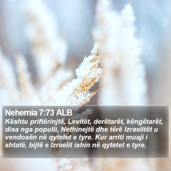 Nehemia 7:73 ALB Bible Study