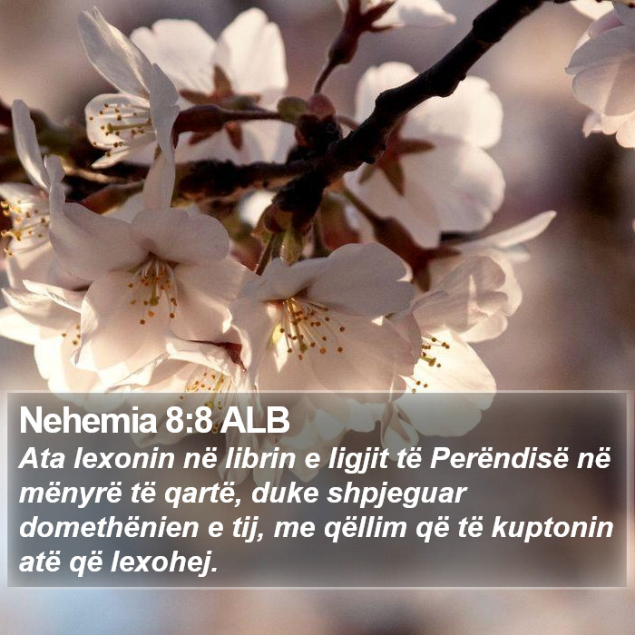 Nehemia 8:8 ALB Bible Study