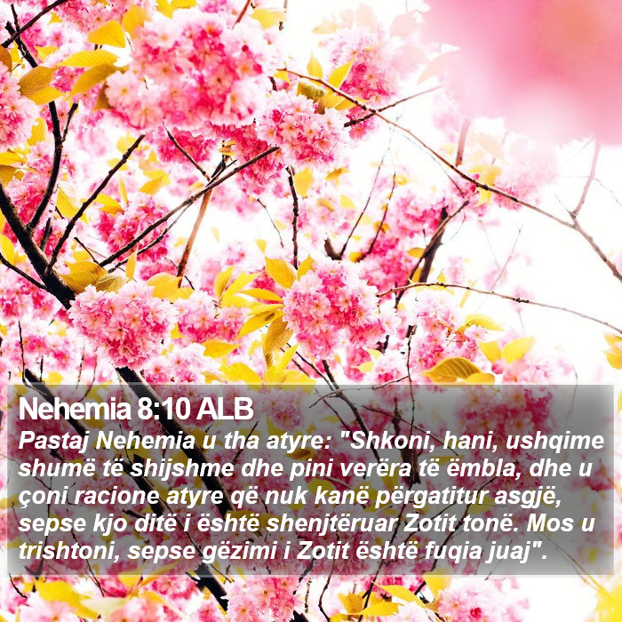 Nehemia 8:10 ALB Bible Study