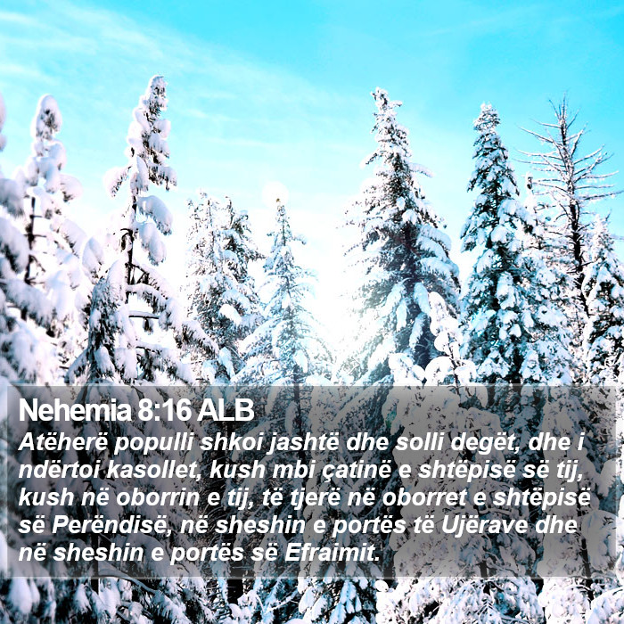 Nehemia 8:16 ALB Bible Study