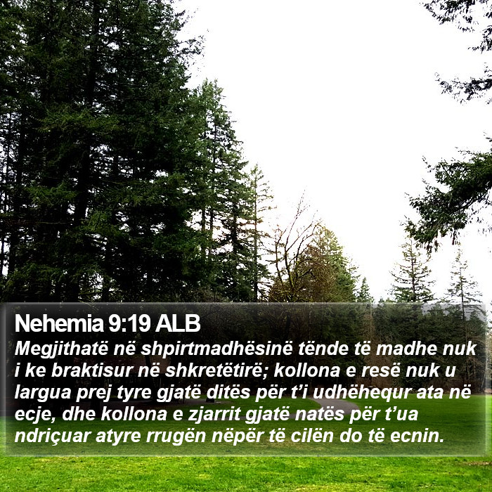 Nehemia 9:19 ALB Bible Study