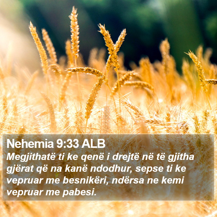 Nehemia 9:33 ALB Bible Study