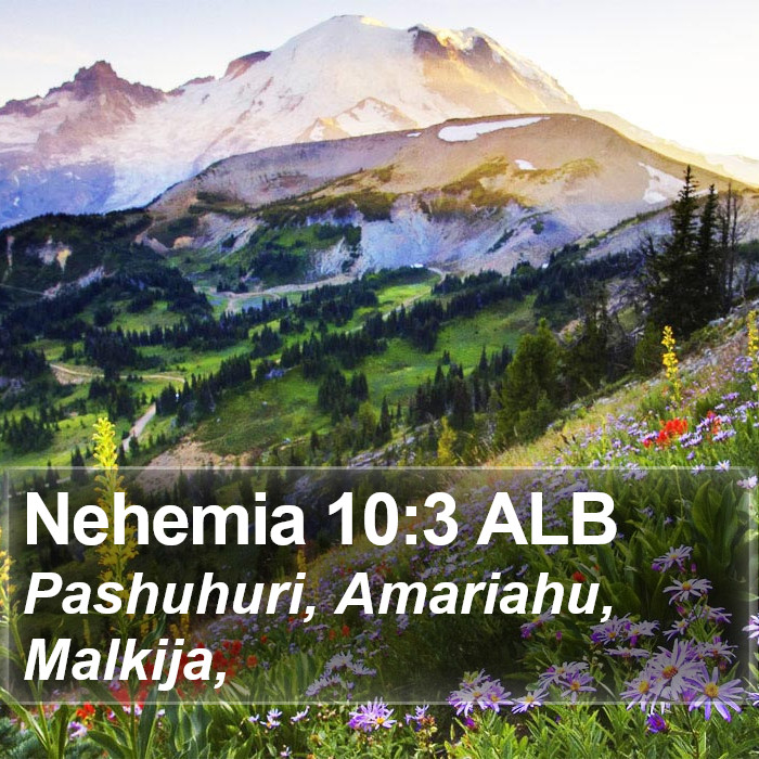 Nehemia 10:3 ALB Bible Study