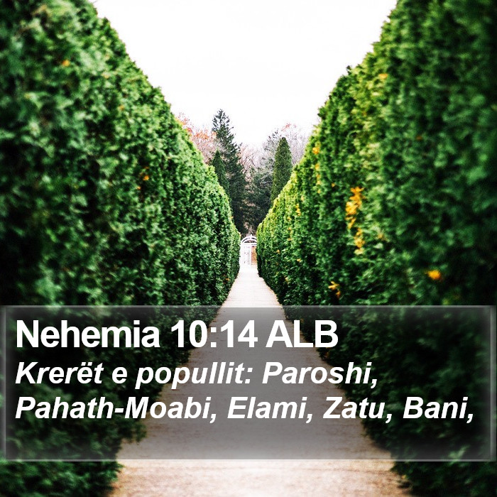 Nehemia 10:14 ALB Bible Study