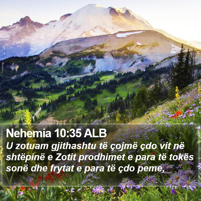 Nehemia 10:35 ALB Bible Study