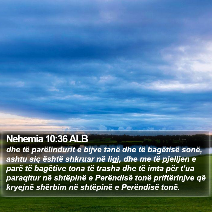 Nehemia 10:36 ALB Bible Study