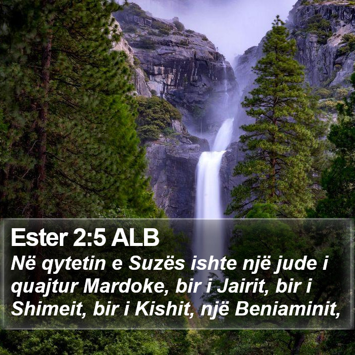 Ester 2:5 ALB Bible Study