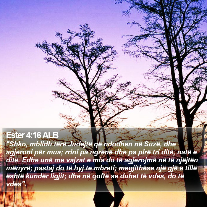 Ester 4:16 ALB Bible Study