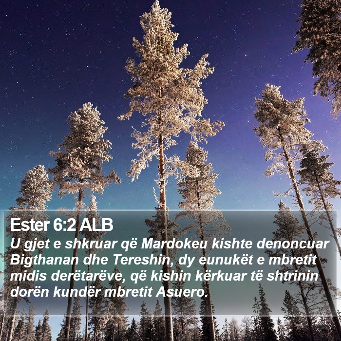 Ester 6:2 ALB Bible Study