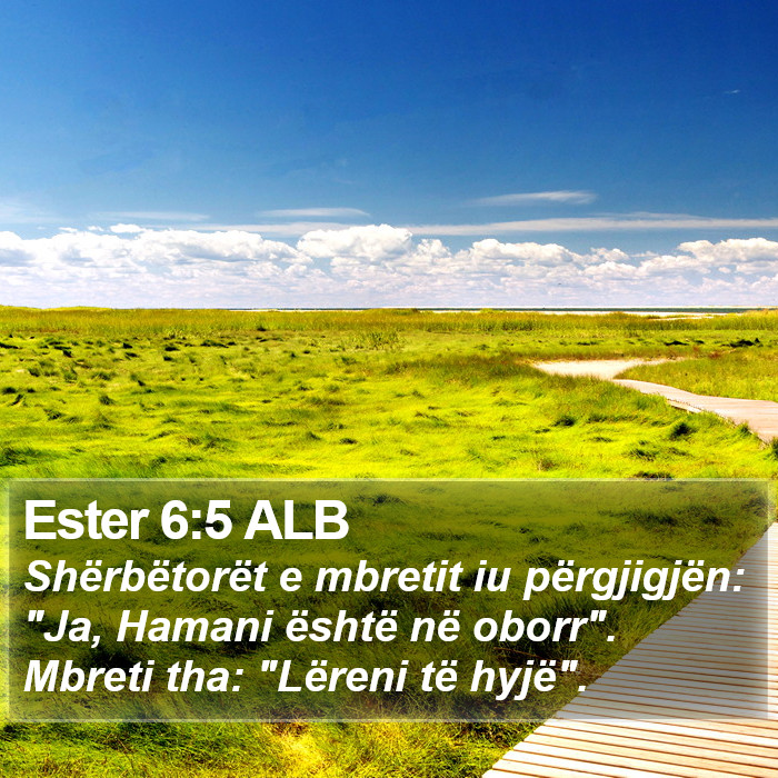 Ester 6:5 ALB Bible Study