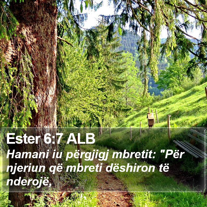 Ester 6:7 ALB Bible Study