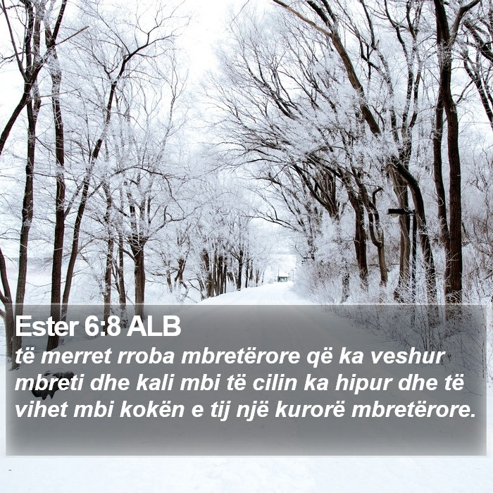 Ester 6:8 ALB Bible Study