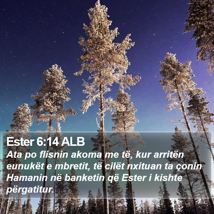 Ester 6:14 ALB Bible Study