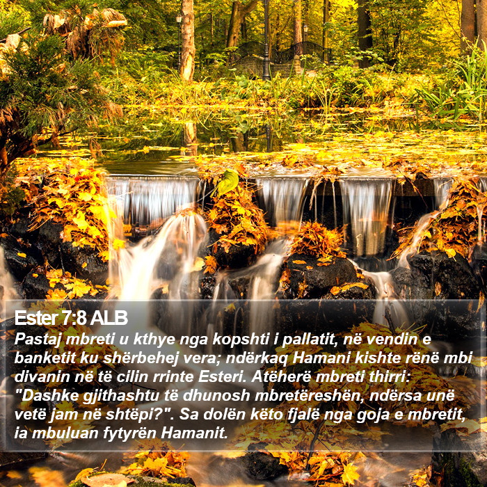 Ester 7:8 ALB Bible Study