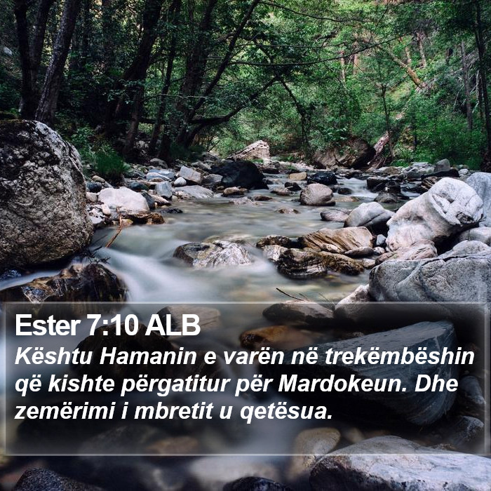 Ester 7:10 ALB Bible Study