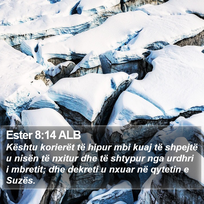 Ester 8:14 ALB Bible Study