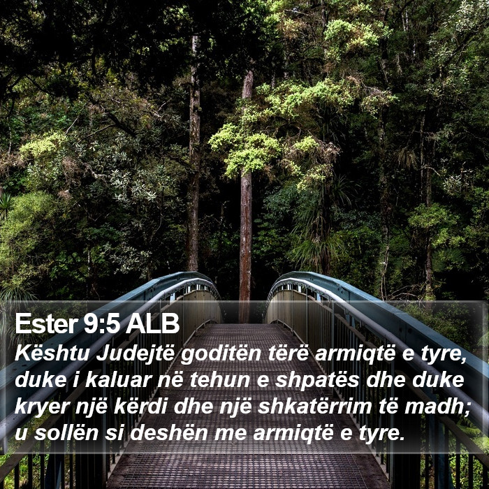 Ester 9:5 ALB Bible Study