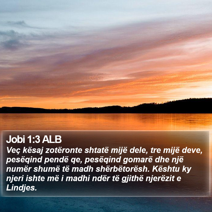 Jobi 1:3 ALB Bible Study