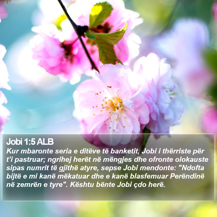 Jobi 1:5 ALB Bible Study