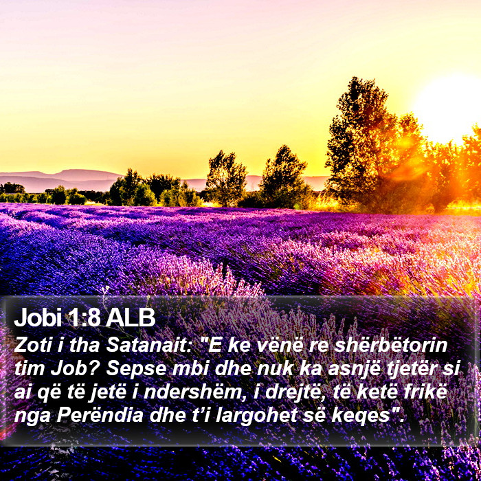 Jobi 1:8 ALB Bible Study