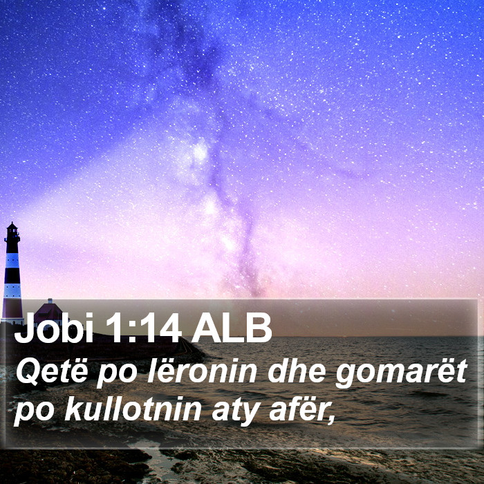 Jobi 1:14 ALB Bible Study