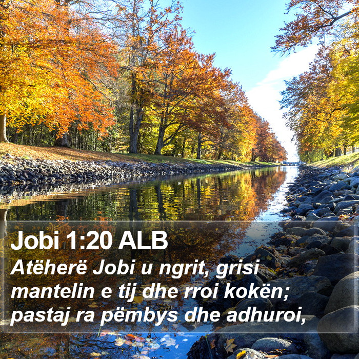 Jobi 1:20 ALB Bible Study