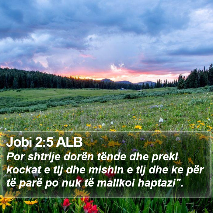 Jobi 2:5 ALB Bible Study