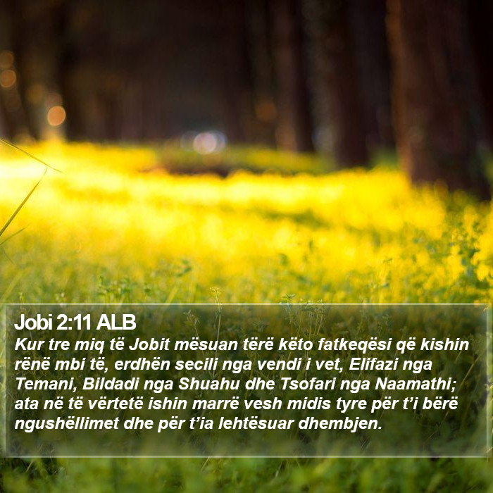 Jobi 2:11 ALB Bible Study